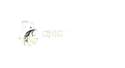 Chicken  Road